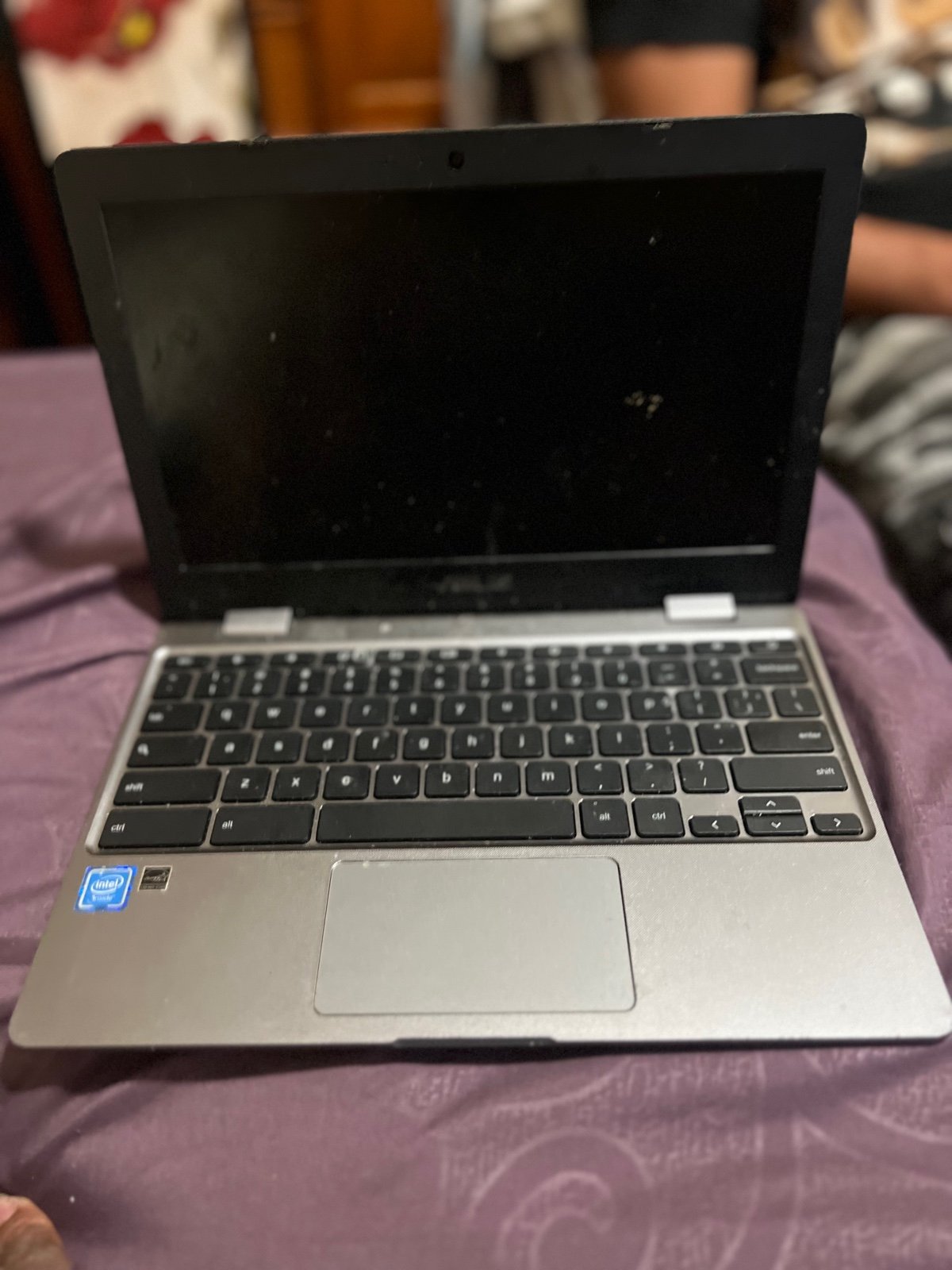 Asus Chromebook c223n laptop