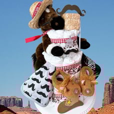 Cowboy Diaper Cake, Wild West Baby Shower