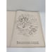 The Colorful Collection of Beatrix Potter Jumbo Coloring Book 14x20