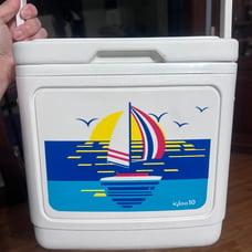 Igloo cooler