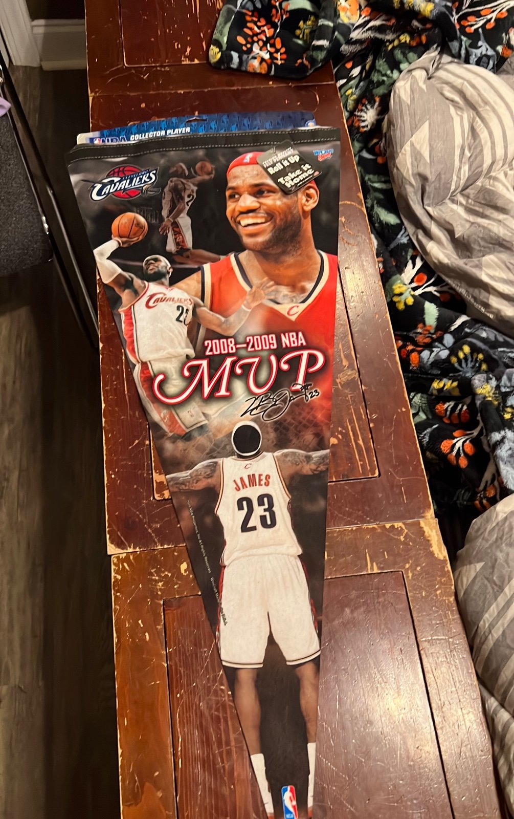 Lebron James 2008-2009 MVP banner