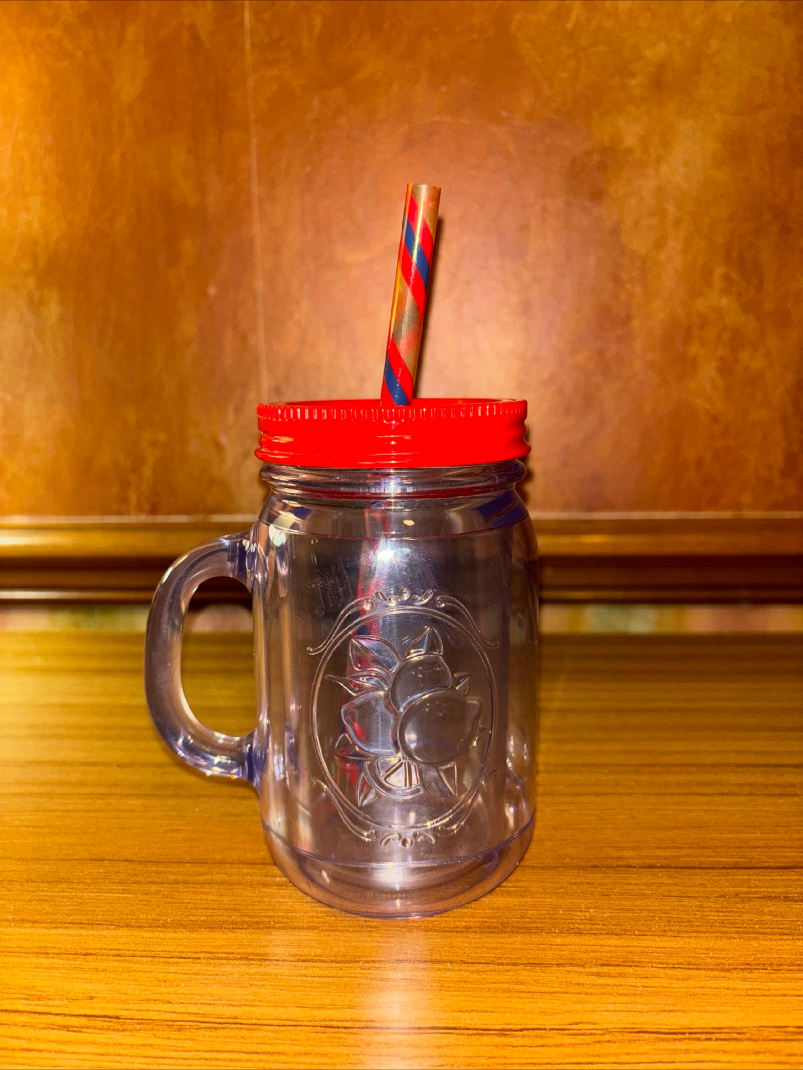 Aladdin Insulated Mason Jar Plastic Tumbler Mug Red  Lid 16oz Straw