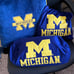 University of Michigan pillows