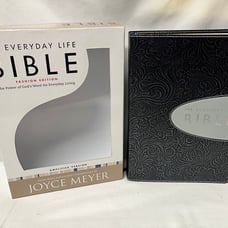 The Everyday Life Bible: Hand-Tooled Pewter With Graphite Inset Edition Meyer