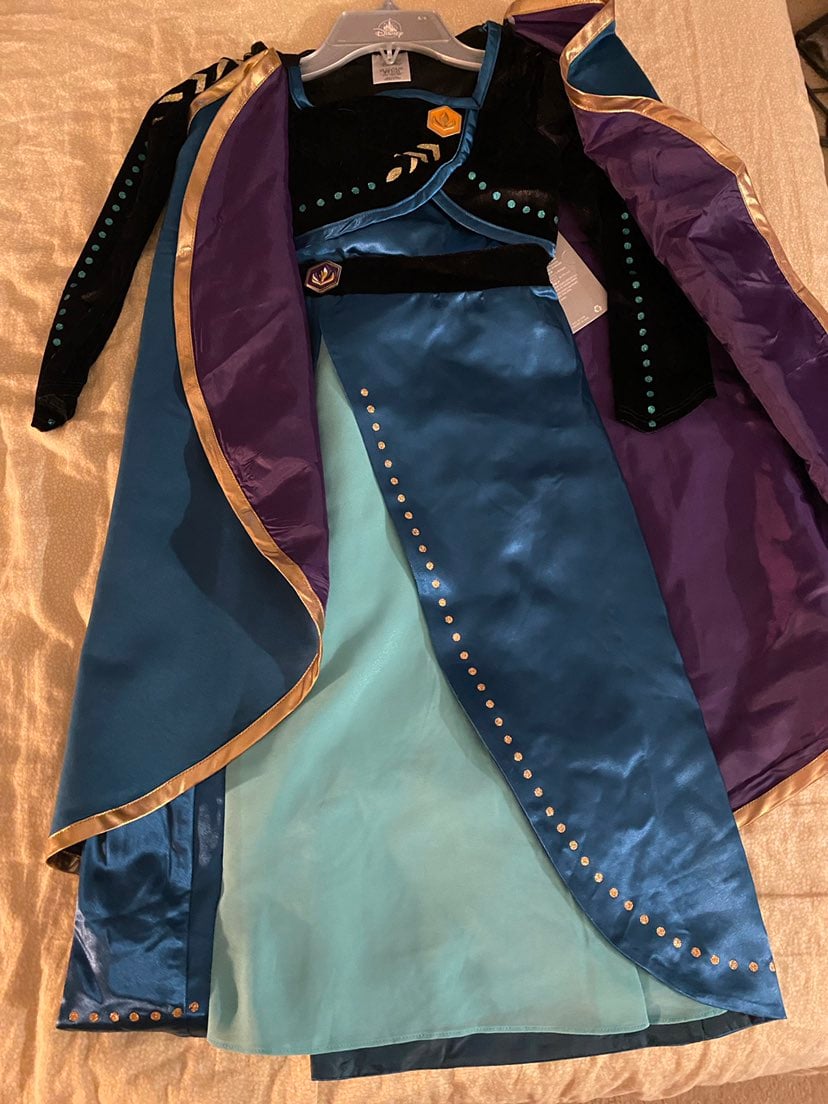 Forzen costume Anna