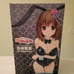 Airi kashii figure