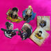 Avatar: The Last Airbender Bundle