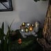 Solar Garden Outdoor Statues Turtle with Succulent and 7 LED Lights