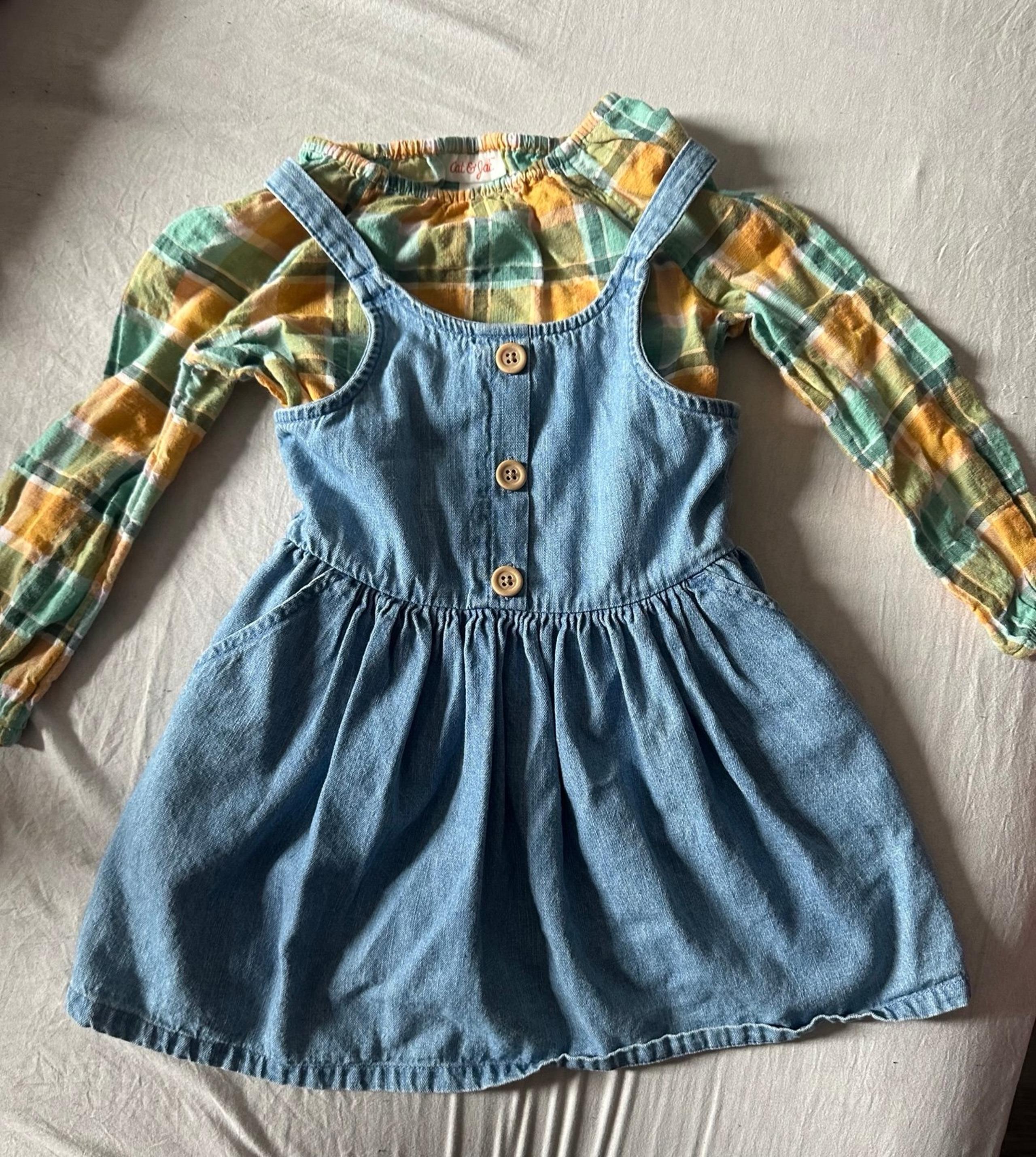Toddler Cat & Jack dress