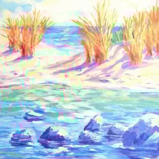 Adam Signed La Playa Arenosa Limited Edition Lithograph (LOA) Retail: 250