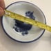 Flow blue Chinese porcelain Fish sauce d
