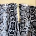 NWT Express SnakeSkin Halter Top