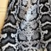 NWT Express SnakeSkin Halter Top