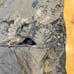 Ralph Lauren Twin Size comforter