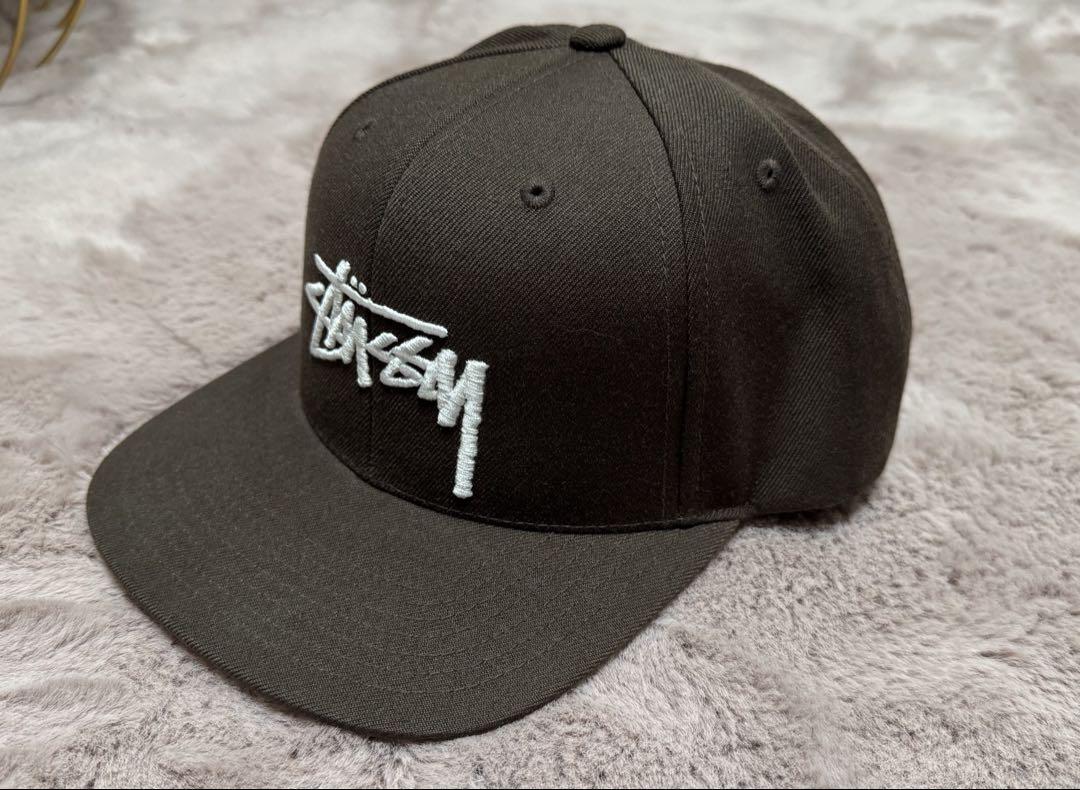STUSSY Brown Cap