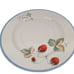 Luscious by Savoir Vivre JJ017 Saucer Plate Vintage Dinner Wear Set of 4