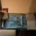 Ergobaby bouncer new sage green