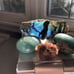Amazonite, Labradorite, & Aragonite Crystal Stone Set Grounding, Peace, Healing