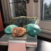 Amazonite, Labradorite, & Aragonite Crystal Stone Set Grounding, Peace, Healing