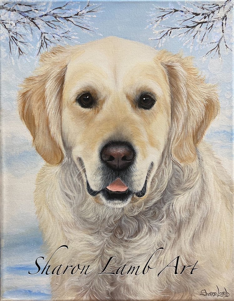Pet portrait paintings