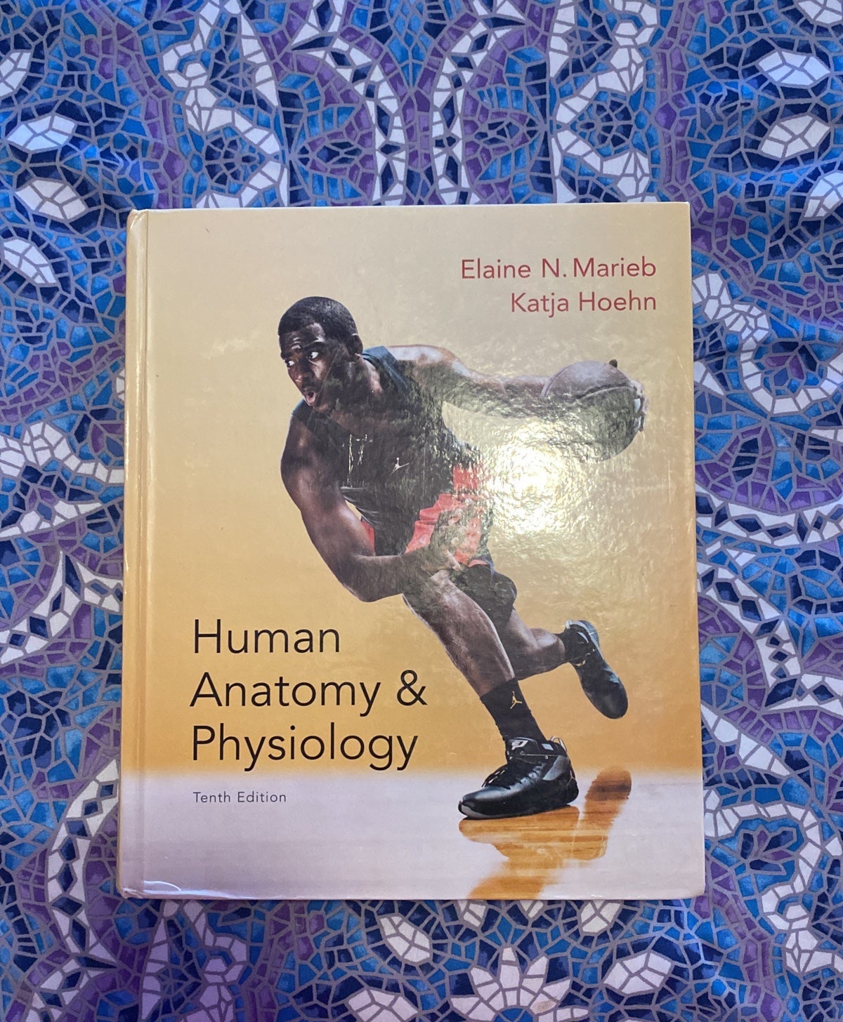 Human Anatomy & Physiology Book