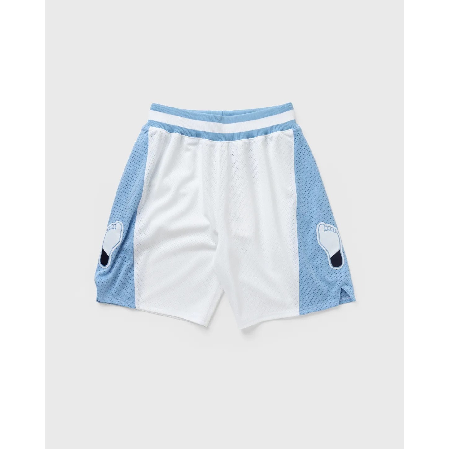 North Carolina TAR HEELS UNC Blue Mitchell & Ness Shorts JORDAN L LRG 125