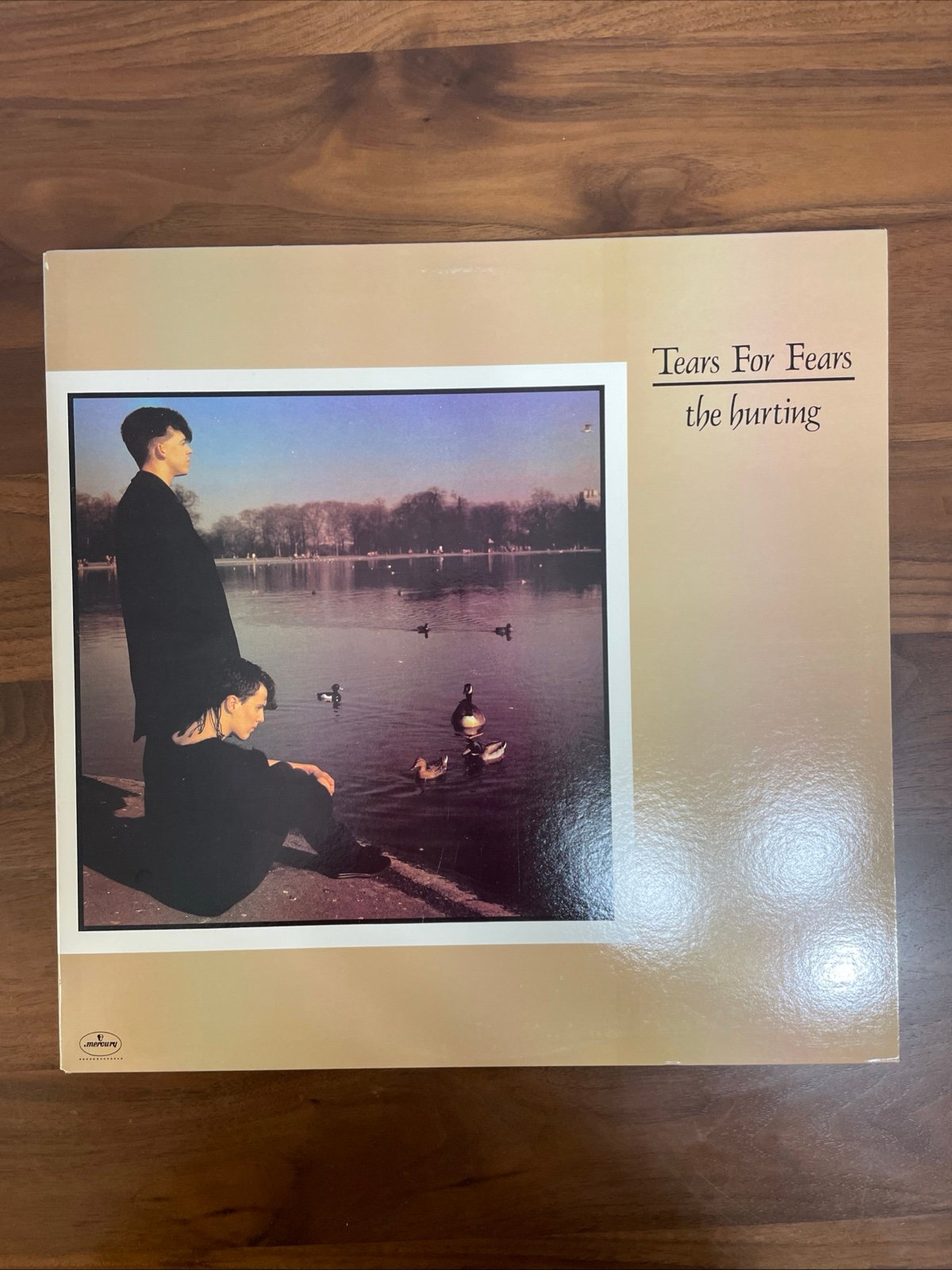 Tears For Fears The Hurting LP 1st Pressing 1983 w/Lyrics VG+/VG+