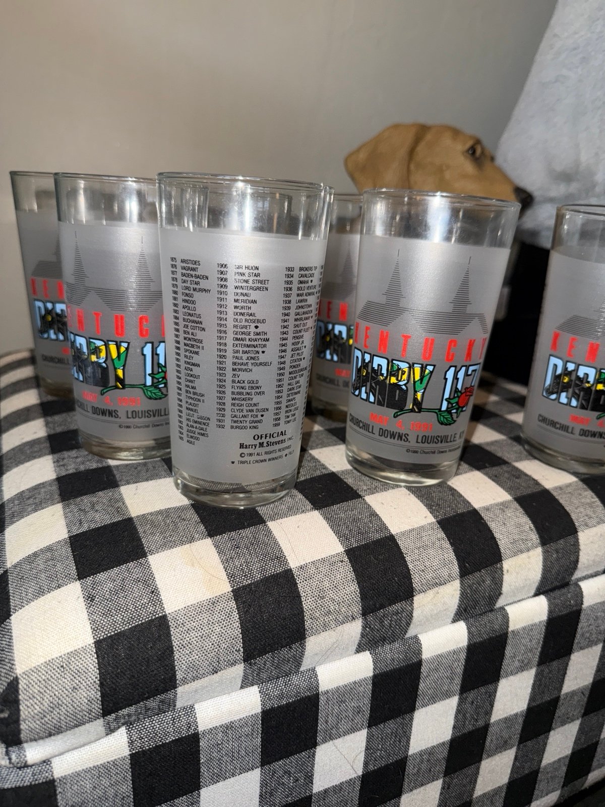 Kentucky Derby 1991 Horse Race #117 Official 12 oz Mint Julep Glass Set of 7