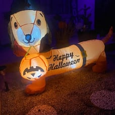 5 FT Halloween Inflatable Dog Outdoor Decorations Blow Up Yard Decorations