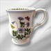 Retired Portmeirion Botanic Garden Oatmeal /Cereal 6-1/2 Bowl And Mug