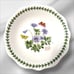 Retired Portmeirion Botanic Garden Oatmeal /Cereal 6-1/2 Bowl And Mug