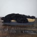 Papillio by Birkenstock Daytona Shearling Womens Size 7 Platform Sandals Black