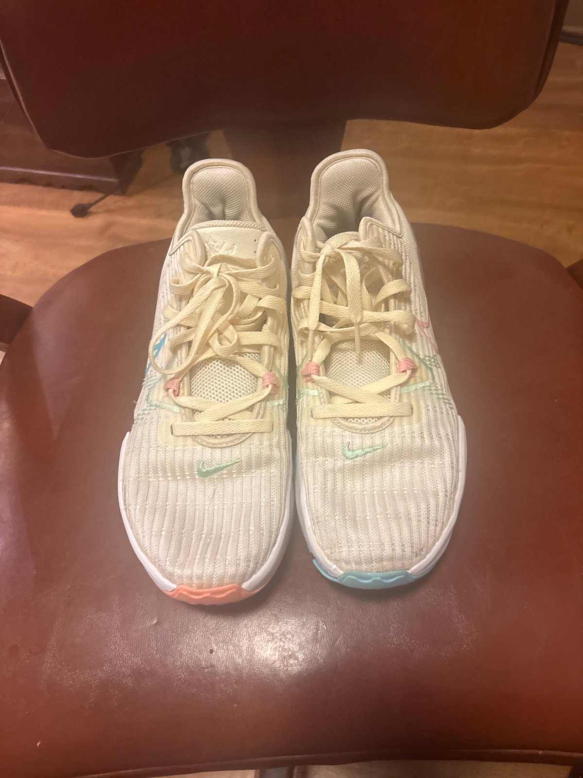 Nike Lebron Witness 6 ‘Easter’  Size 11 CZ4052-103