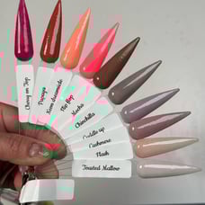 Lot of Ten x Tina dip powders