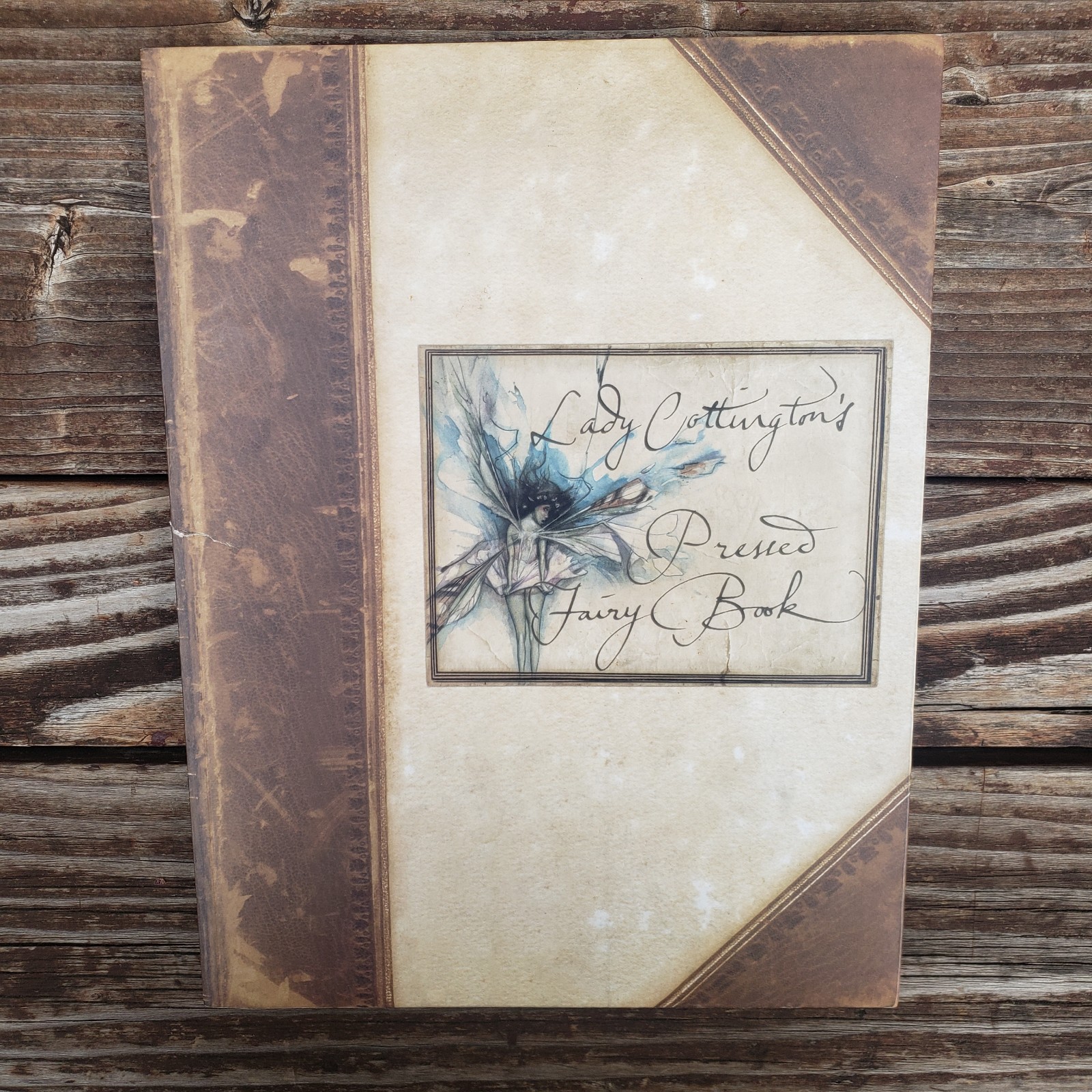 Lady Cottington's Pressed Fairy Book
