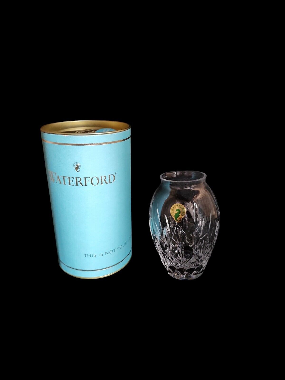 Waterford Society Crystal Candy Bud Vase 6 tall New With Tags