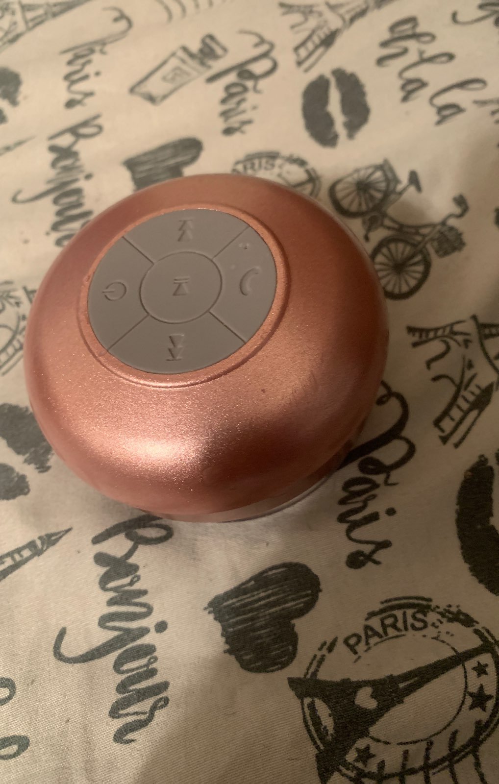 Shower speaker