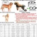 HobeyHove Foldable Dog Wheelchair