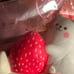 squishy bundle