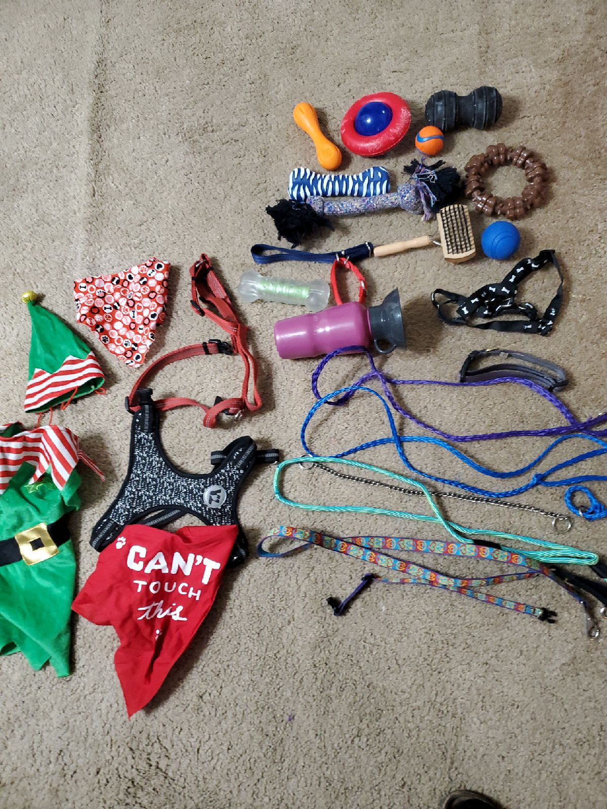 Dog lead leashes brush toys costume travel water cup