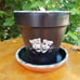 Hand Painted Black and White Speckled Trim 6 Flower Pot with Saucer