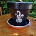 Hand Painted Black and White Speckled Trim 6 Flower Pot with Saucer