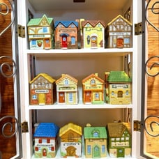 Vintage 1994 Plus Pro Division spice houses, set of 12