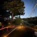 Solar Lights Outdoor Garden 4 Pack Solar Pathway Light 31 Tall