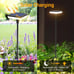 Solar Lights Outdoor Garden 4 Pack Solar Pathway Light 31 Tall