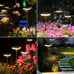 Solar Lights Outdoor Garden 4 Pack Solar Pathway Light 31 Tall