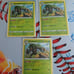 Pokemon Shining Fates Bundle