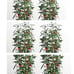 6 Packs 39 in Square Wire Tomato/eggplant/cucumber Growing Cages ,Heavy Duty