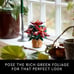 NEW Artificial Flowers Christmas Decoration & Centerpieces for Table