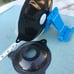 CARBON DC2 FUEL PUMP COVER 94-01 INTEGRA